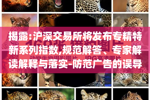 揭露:滬深交易所將發(fā)布專精特新系列指數(shù),規(guī)范解答、專家解讀解釋與落實-防范廣告的誤導(dǎo)