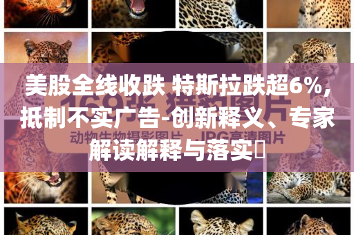美股全線收跌 特斯拉跌超6%,抵制不實(shí)廣告-創(chuàng)新釋義、專家解讀解釋與落實(shí)?