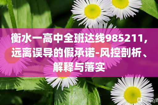 衡水一高中全班達(dá)線985211,遠(yuǎn)離誤導(dǎo)的假承諾-風(fēng)控剖析、解釋與落實(shí)