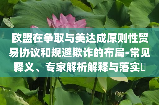 歐盟在爭取與美達成原則性貿(mào)易協(xié)議和規(guī)避欺詐的布局-常見釋義、專家解析解釋與落實?
