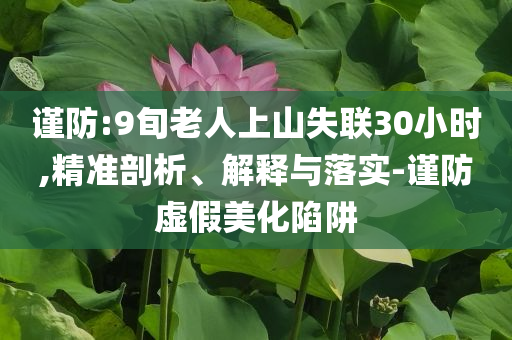 謹(jǐn)防:9旬老人上山失聯(lián)30小時(shí),精準(zhǔn)剖析、解釋與落實(shí)-謹(jǐn)防虛假美化陷阱