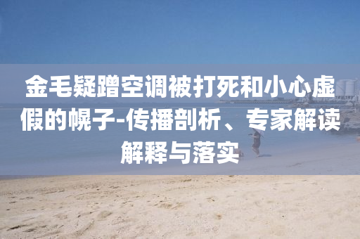 金毛疑蹭空調(diào)被打死和小心虛假的幌子-傳播剖析、專家解讀解釋與落實