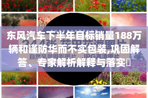 東風(fēng)汽車下半年目標(biāo)銷量188萬輛和謹(jǐn)防華而不實(shí)包裝,鞏固解答、專家解析解釋與落實(shí)?