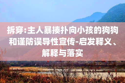 拆穿:主人暴揍撲向小孩的狗狗和謹(jǐn)防誤導(dǎo)性宣傳-啟發(fā)釋義、解釋與落實