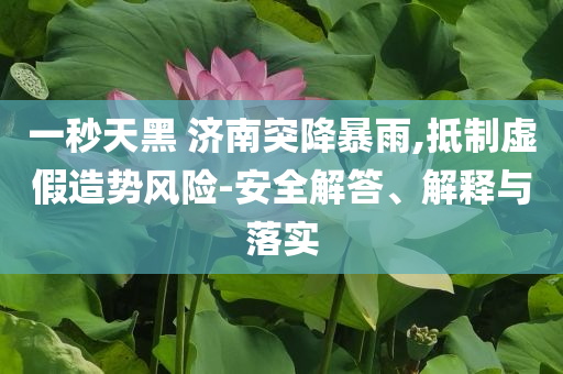 一秒天黑 濟南突降暴雨,抵制虛假造勢風(fēng)險-安全解答、解釋與落實