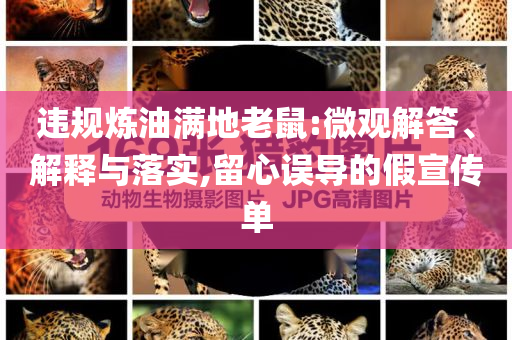 違規(guī)煉油滿地老鼠:微觀解答、解釋與落實(shí),留心誤導(dǎo)的假宣傳單