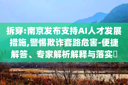 拆穿:南京發(fā)布支持AI人才發(fā)展措施,警惕欺詐套路危害-便捷解答、專家解析解釋與落實?