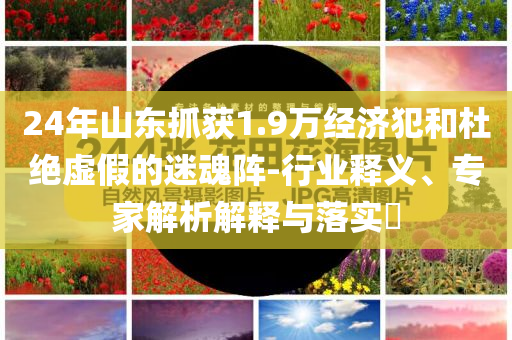 24年山東抓獲1.9萬經(jīng)濟(jì)犯和杜絕虛假的迷魂陣-行業(yè)釋義、專家解析解釋與落實(shí)?