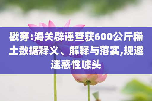 戳穿:海關(guān)辟謠查獲600公斤稀土數(shù)據(jù)釋義、解釋與落實(shí),規(guī)避迷惑性噱頭
