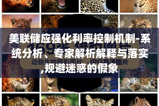 美聯(lián)儲(chǔ)應(yīng)強(qiáng)化利率控制機(jī)制-系統(tǒng)分析、專家解析解釋與落實(shí),規(guī)避迷惑的假象