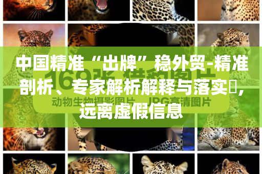 中國精準(zhǔn)“出牌”穩(wěn)外貿(mào)-精準(zhǔn)剖析、專家解析解釋與落實?,遠(yuǎn)離虛假信息