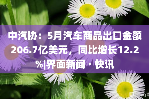 中汽協(xié)：5月汽車商品出口金額206.7億美元，同比增長(zhǎng)12.2%|界面新聞 · 快訊