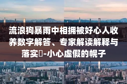 流浪狗暴雨中相擁被好心人收養(yǎng)數(shù)字解答、專家解讀解釋與落實(shí)?-小心虛假的幌子