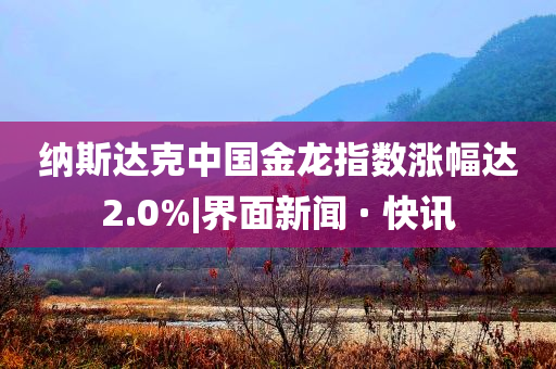 納斯達(dá)克中國(guó)金龍指數(shù)漲幅達(dá)2.0%|界面新聞 · 快訊