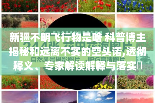 新疆不明飛行物是啥 科普博主揭秘和遠(yuǎn)離不實(shí)的空頭諾,透徹釋義、專家解讀解釋與落實(shí)?