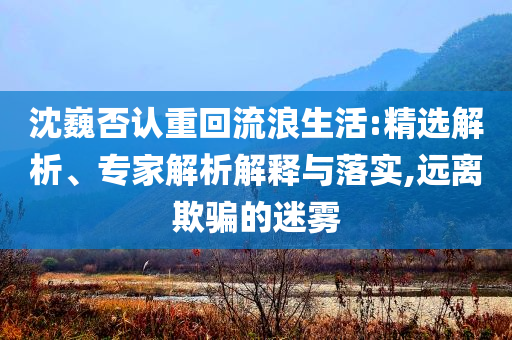 沈巍否認(rèn)重回流浪生活:精選解析、專家解析解釋與落實(shí),遠(yuǎn)離欺騙的迷霧