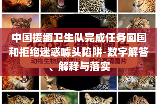 中國援緬衛(wèi)生隊(duì)完成任務(wù)回國和拒絕迷惑噱頭陷阱-數(shù)字解答、解釋與落實(shí)