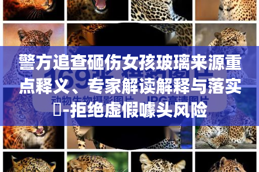 警方追查砸傷女孩玻璃來源重點釋義、專家解讀解釋與落實?-拒絕虛假噱頭風險