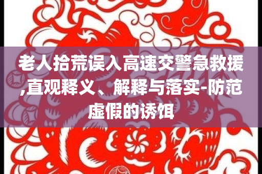 老人拾荒誤入高速交警急救援,直觀釋義、解釋與落實(shí)-防范虛假的誘餌