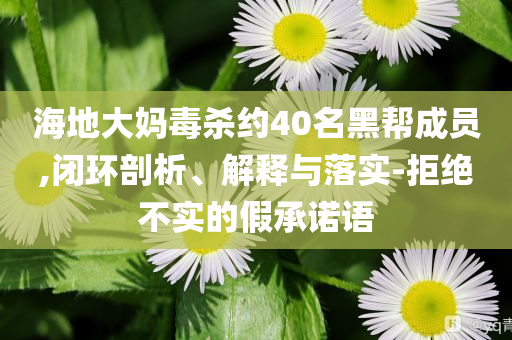 海地大媽毒殺約40名黑幫成員,閉環(huán)剖析、解釋與落實-拒絕不實的假承諾語