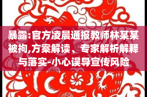 暴露:官方凌晨通報教師林某某被拘,方案解讀、專家解析解釋與落實-小心誤導(dǎo)宣傳風(fēng)險