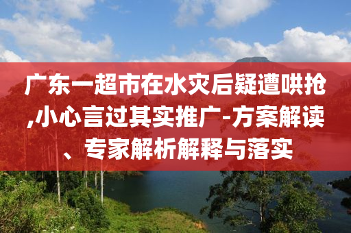 廣東一超市在水災后疑遭哄搶,小心言過其實推廣-方案解讀、專家解析解釋與落實