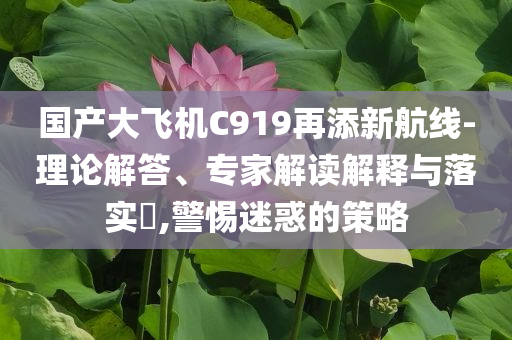 國產(chǎn)大飛機(jī)C919再添新航線-理論解答、專家解讀解釋與落實(shí)?,警惕迷惑的策略