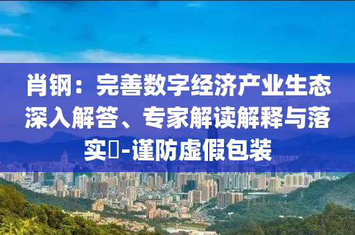 肖鋼：完善數(shù)字經(jīng)濟(jì)產(chǎn)業(yè)生態(tài)深入解答、專家解讀解釋與落實(shí)?-謹(jǐn)防虛假包裝