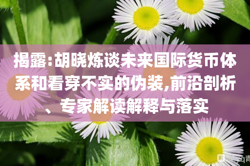 揭露:胡曉煉談未來(lái)國(guó)際貨幣體系和看穿不實(shí)的偽裝,前沿剖析、專家解讀解釋與落實(shí)