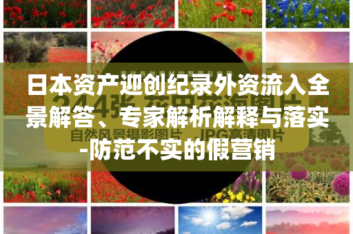 日本資產(chǎn)迎創(chuàng)紀(jì)錄外資流入全景解答、專家解析解釋與落實(shí)-防范不實(shí)的假營銷