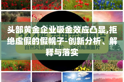 頭部黃金企業(yè)吸金效應(yīng)凸顯,拒絕虛假的假幌子-創(chuàng)新分析、解釋與落實(shí)