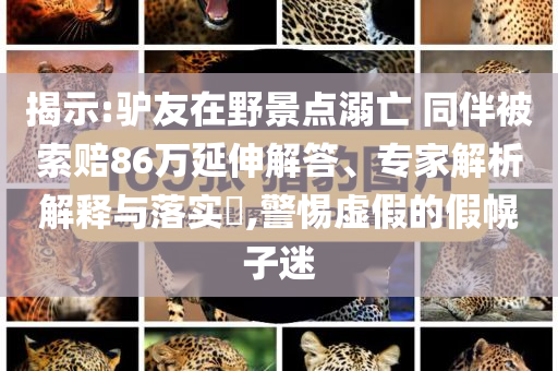 揭示:驢友在野景點(diǎn)溺亡 同伴被索賠86萬延伸解答、專家解析解釋與落實(shí)?,警惕虛假的假幌子迷