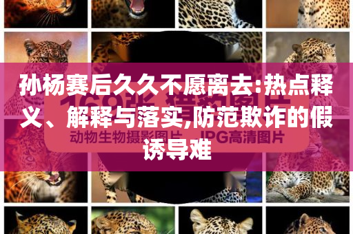 孫楊賽后久久不愿離去:熱點(diǎn)釋義、解釋與落實(shí),防范欺詐的假誘導(dǎo)難