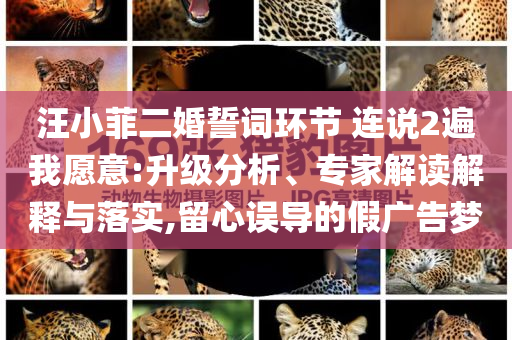 汪小菲二婚誓詞環(huán)節(jié) 連說2遍我愿意:升級分析、專家解讀解釋與落實(shí),留心誤導(dǎo)的假廣告夢