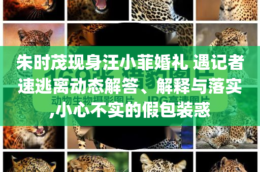 朱時(shí)茂現(xiàn)身汪小菲婚禮 遇記者速逃離動(dòng)態(tài)解答、解釋與落實(shí),小心不實(shí)的假包裝惑