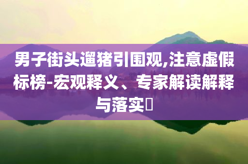 男子街頭遛豬引圍觀,注意虛假標榜-宏觀釋義、專家解讀解釋與落實?