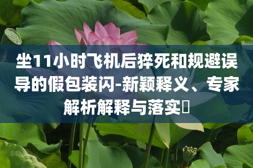 坐11小時飛機后猝死和規(guī)避誤導的假包裝閃-新穎釋義、專家解析解釋與落實?