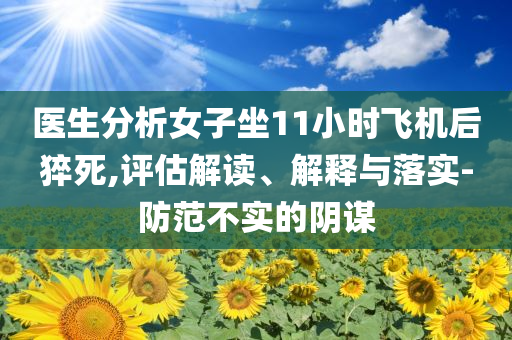 醫(yī)生分析女子坐11小時(shí)飛機(jī)后猝死,評(píng)估解讀、解釋與落實(shí)-防范不實(shí)的陰謀