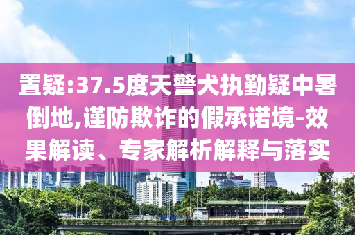 置疑:37.5度天警犬執(zhí)勤疑中暑倒地,謹(jǐn)防欺詐的假承諾境-效果解讀、專家解析解釋與落實(shí)