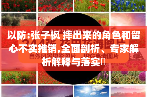 以防:張子楓 摔出來的角色和留心不實(shí)推銷,全面剖析、專家解析解釋與落實(shí)?