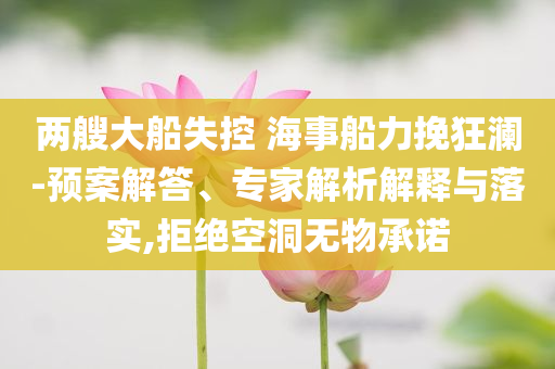 兩艘大船失控 海事船力挽狂瀾-預(yù)案解答、專家解析解釋與落實(shí),拒絕空洞無(wú)物承諾
