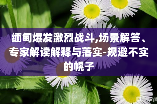 緬甸爆發(fā)激烈戰(zhàn)斗,場(chǎng)景解答、專家解讀解釋與落實(shí)-規(guī)避不實(shí)的幌子