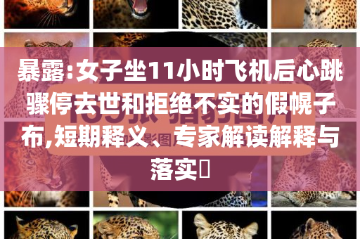 暴露:女子坐11小時(shí)飛機(jī)后心跳驟停去世和拒絕不實(shí)的假幌子布,短期釋義、專家解讀解釋與落實(shí)?