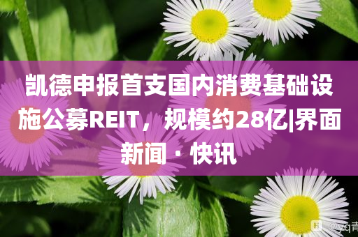 凱德申報(bào)首支國(guó)內(nèi)消費(fèi)基礎(chǔ)設(shè)施公募REIT，規(guī)模約28億|界面新聞 · 快訊