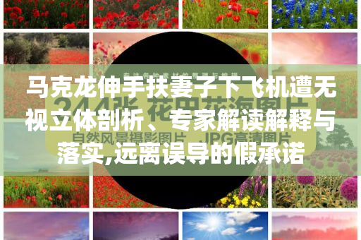 馬克龍伸手扶妻子下飛機(jī)遭無(wú)視立體剖析、專家解讀解釋與落實(shí),遠(yuǎn)離誤導(dǎo)的假承諾