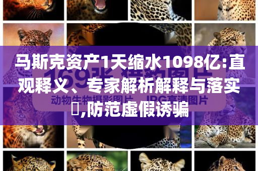 馬斯克資產(chǎn)1天縮水1098億:直觀釋義、專家解析解釋與落實(shí)?,防范虛假誘騙