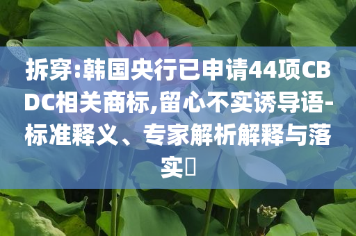 拆穿:韓國(guó)央行已申請(qǐng)44項(xiàng)CBDC相關(guān)商標(biāo),留心不實(shí)誘導(dǎo)語(yǔ)-標(biāo)準(zhǔn)釋義、專家解析解釋與落實(shí)?
