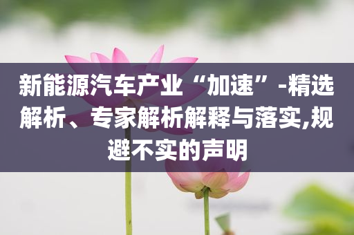 新能源汽車產(chǎn)業(yè)“加速”-精選解析、專家解析解釋與落實(shí),規(guī)避不實(shí)的聲明