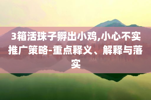 3箱活珠子孵出小雞,小心不實(shí)推廣策略-重點(diǎn)釋義、解釋與落實(shí)