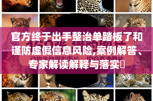 官方終于出手整治單踏板了和謹(jǐn)防虛假信息風(fēng)險(xiǎn),案例解答、專(zhuān)家解讀解釋與落實(shí)?